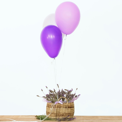 Imagem de Balloon Lavander Bag