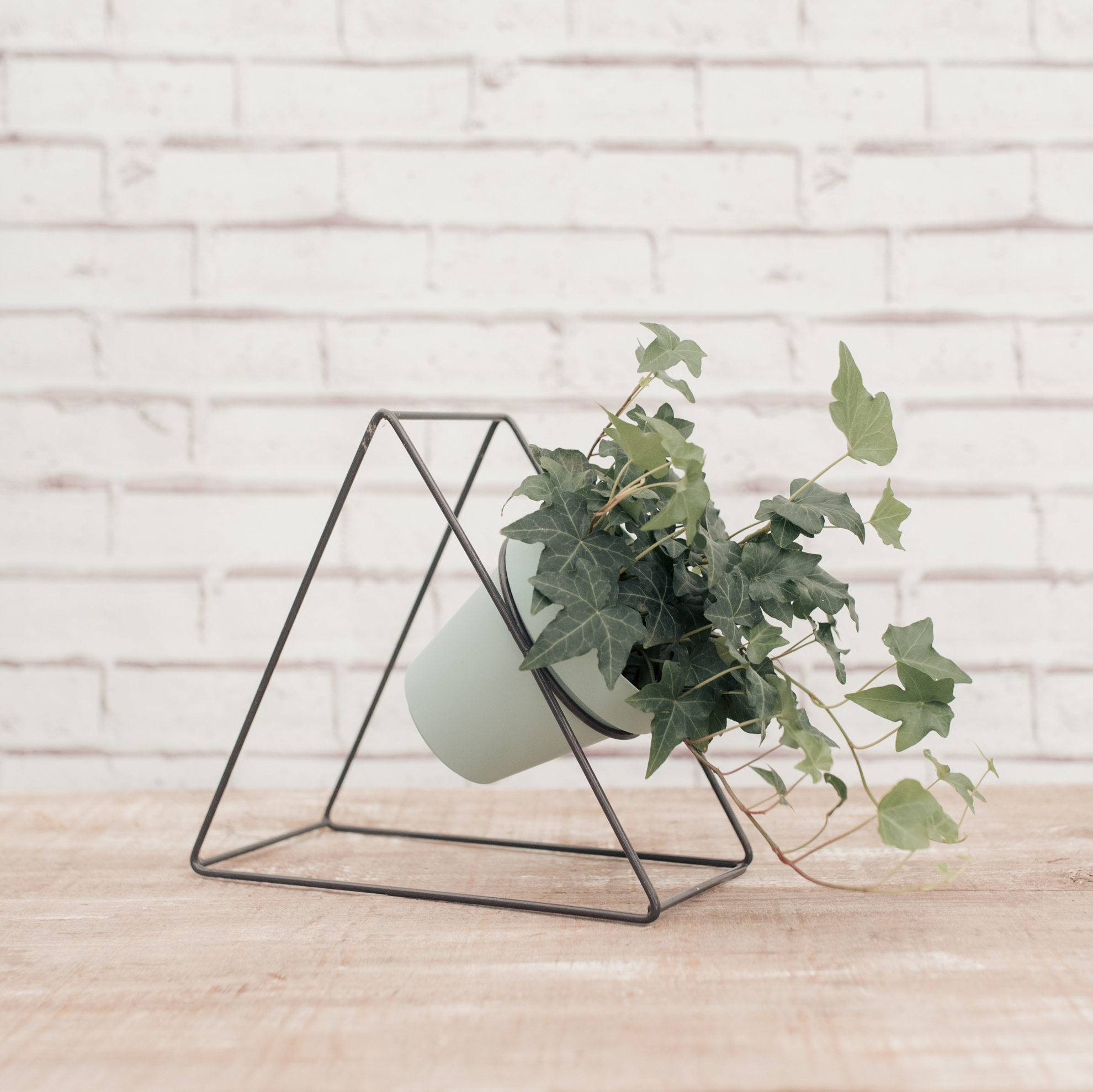 Triangular [+R$ 60,00]